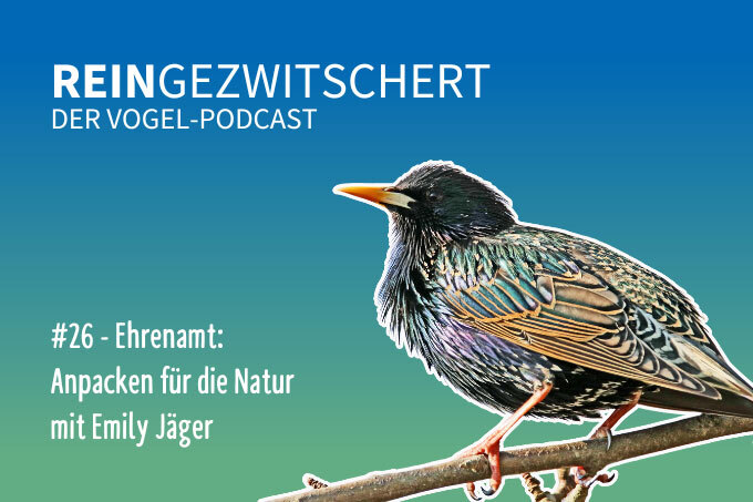 NABU-Vogelpodcast „Reingezwitschert“, Folge 26: Ehrenamt - Foto: NABU/CEWE/Norbert Krüger