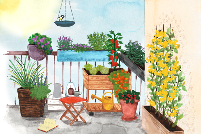 Pflanzen für den Schattenbalkon - Illustration: NABU/Anne Quadflieg